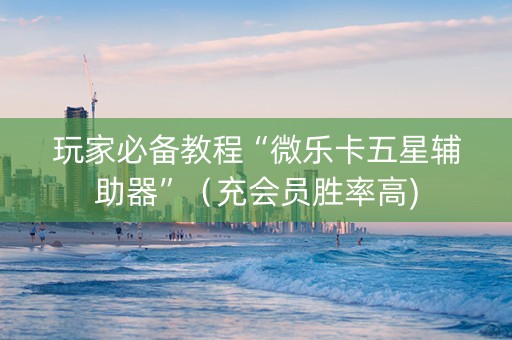 玩家必备教程“微乐卡五星辅助器”（充会员胜率高)