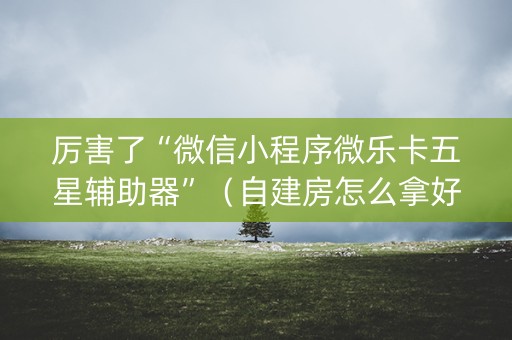 厉害了“微信小程序微乐卡五星辅助器”（自建房怎么拿好牌)