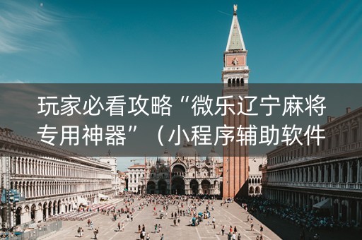 玩家必看攻略“微乐辽宁麻将专用神器”（小程序辅助软件)