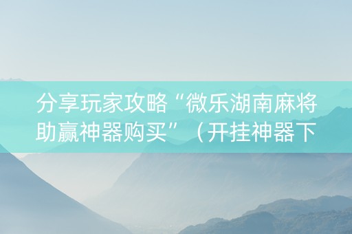 分享玩家攻略“微乐湖南麻将助赢神器购买”（开挂神器下载)