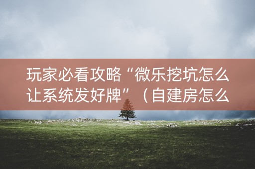 玩家必看攻略“微乐挖坑怎么让系统发好牌”（自建房怎么赢)