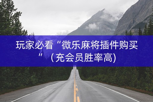 玩家必看“微乐麻将插件购买”（充会员胜率高)
