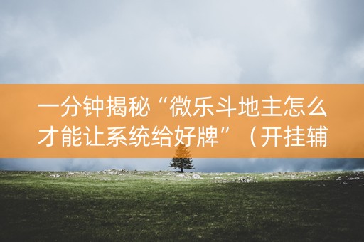 一分钟揭秘“微乐斗地主怎么才能让系统给好牌”（开挂辅助脚本)