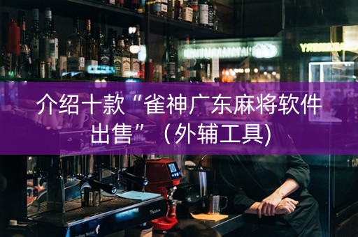 介绍十款“雀神广东麻将软件出售”（外辅工具)