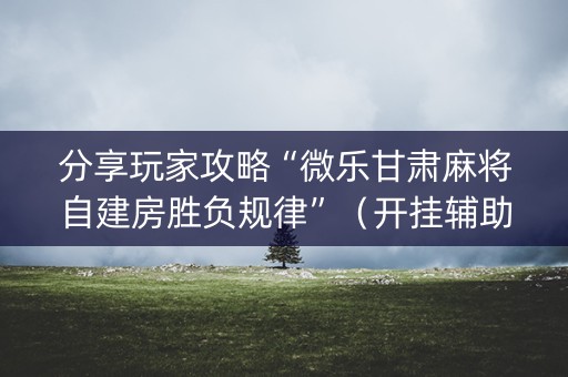 分享玩家攻略“微乐甘肃麻将自建房胜负规律”（开挂辅助器脚本)