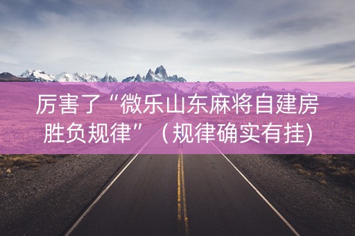 厉害了“微乐山东麻将自建房胜负规律”（规律确实有挂)