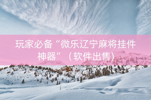 玩家必备“微乐辽宁麻将挂件神器”（软件出售)