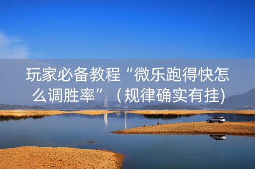 玩家必备教程“微乐跑得快怎么调胜率”（规律确实有挂)