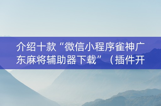 介绍十款“微信小程序雀神广东麻将辅助器下载”（插件开挂免费AI)