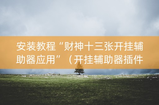 安装教程“财神十三张开挂辅助器应用”（开挂辅助器插件)
