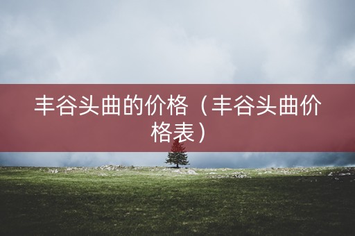 丰谷头曲的价格（丰谷头曲价格表）