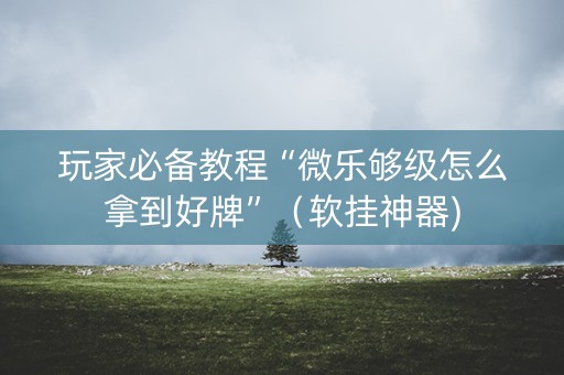 玩家必备教程“微乐够级怎么拿到好牌”（软挂神器)