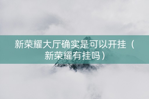 新荣耀大厅确实是可以开挂（新荣耀有挂吗）