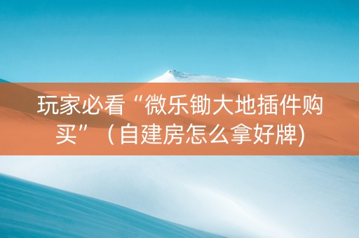 玩家必看“微乐锄大地插件购买”（自建房怎么拿好牌)