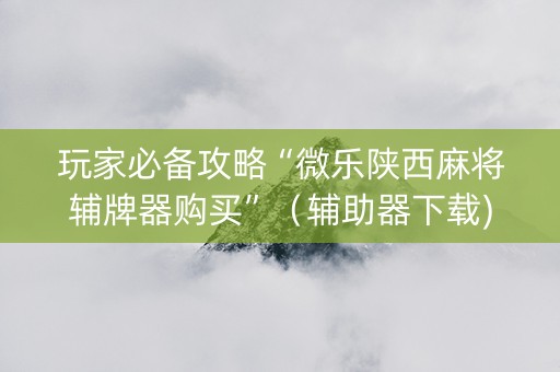 玩家必备攻略“微乐陕西麻将辅牌器购买”（辅助器下载)