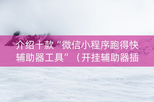 介绍十款“微信小程序跑得快辅助器工具”（开挂辅助器插件)