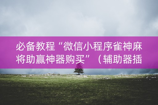 必备教程“微信小程序雀神麻将助赢神器购买”（辅助器插件)