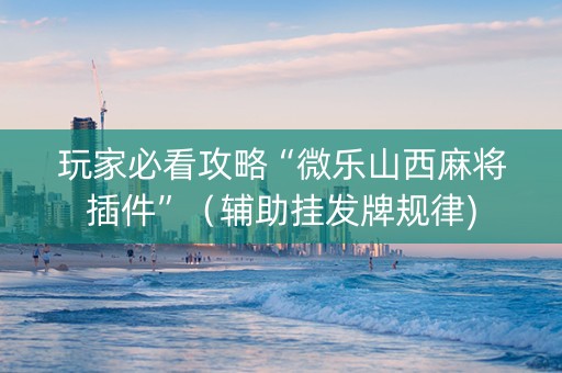 玩家必看攻略“微乐山西麻将插件”（辅助挂发牌规律)
