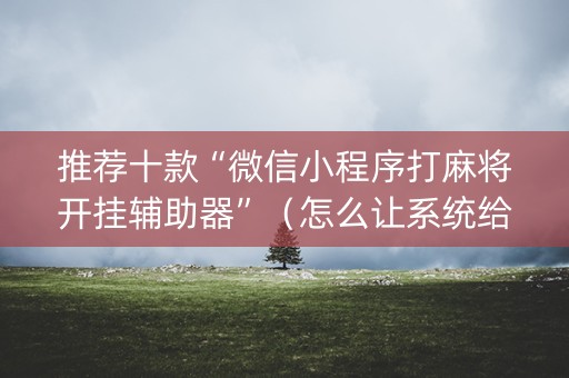 推荐十款“微信小程序打麻将开挂辅助器”（怎么让系统给自己好牌)