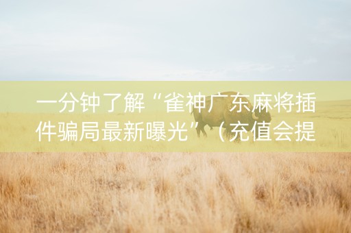一分钟了解“雀神广东麻将插件骗局最新曝光”（充值会提高胜率么)