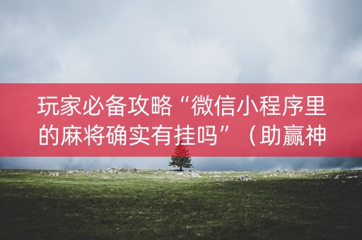 玩家必备攻略“微信小程序里的麻将确实有挂吗”（助赢神器)