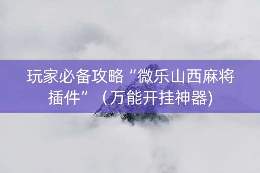 玩家必备攻略“微乐山西麻将插件”（万能开挂神器)