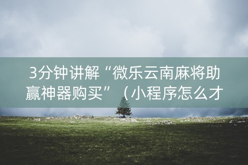 3分钟讲解“微乐云南麻将助赢神器购买”（小程序怎么才会赢)
