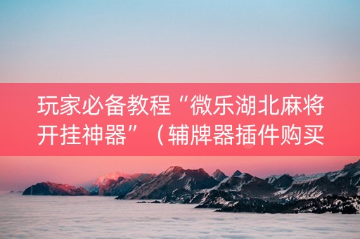 玩家必备教程“微乐湖北麻将开挂神器”（辅牌器插件购买)