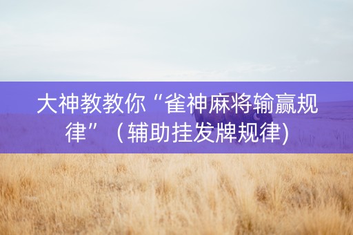 大神教教你“雀神麻将输赢规律”（辅助挂发牌规律)