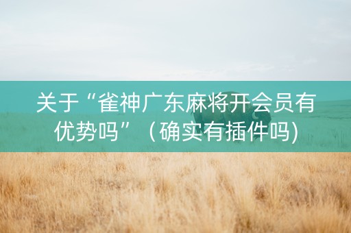 关于“雀神广东麻将开会员有优势吗”（确实有插件吗)