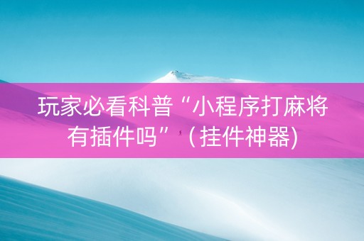 玩家必看科普“小程序打麻将有插件吗”（挂件神器)