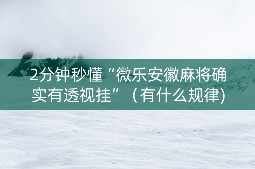 2分钟秒懂“微乐安徽麻将确实有透视挂”（有什么规律)