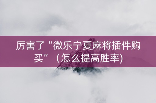 厉害了“微乐宁夏麻将插件购买”（怎么提高胜率)