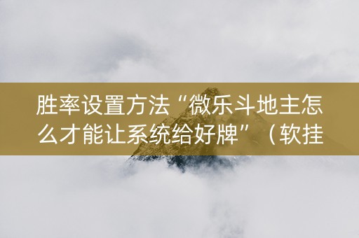 胜率设置方法“微乐斗地主怎么才能让系统给好牌”（软挂神器)