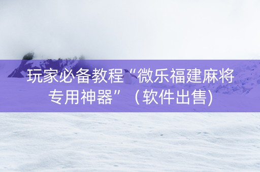 玩家必备教程“微乐福建麻将专用神器”（软件出售)