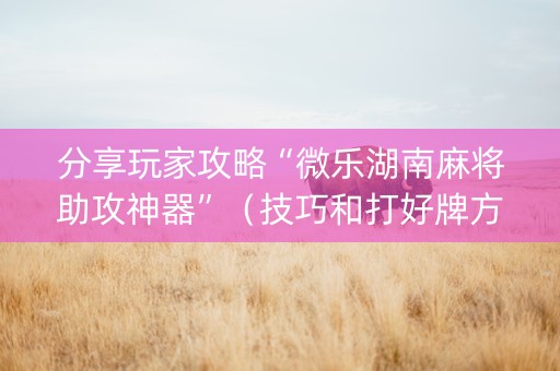 分享玩家攻略“微乐湖南麻将助攻神器”（技巧和打好牌方法)