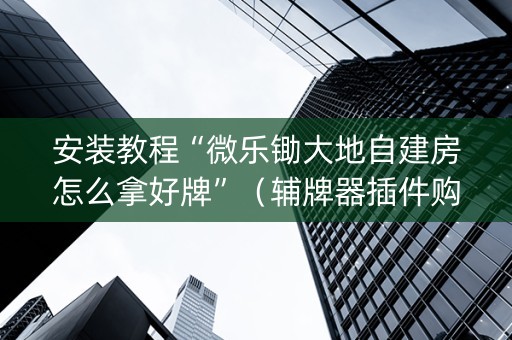 安装教程“微乐锄大地自建房怎么拿好牌”（辅牌器插件购买)