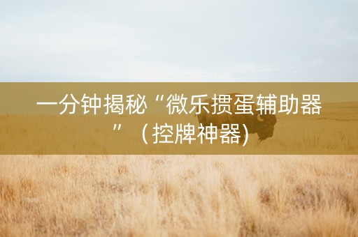一分钟揭秘“微乐掼蛋辅助器”（控牌神器)