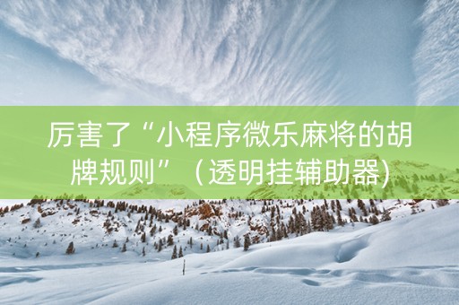 厉害了“小程序微乐麻将的胡牌规则”（透明挂辅助器)