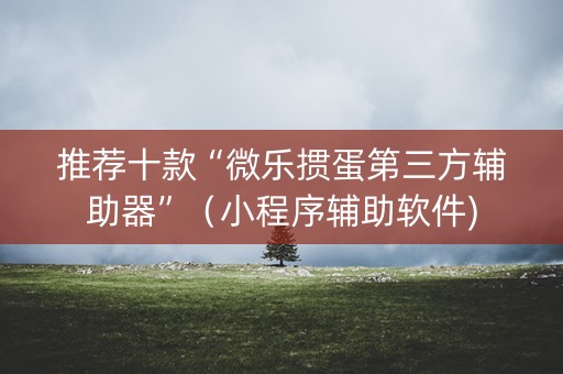 推荐十款“微乐掼蛋第三方辅助器”（小程序辅助软件)