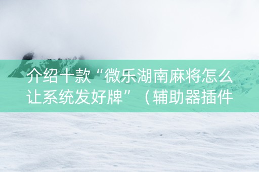 介绍十款“微乐湖南麻将怎么让系统发好牌”（辅助器插件)