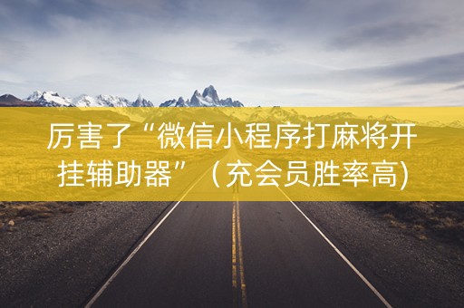 厉害了“微信小程序打麻将开挂辅助器”（充会员胜率高)