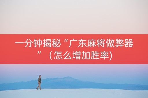一分钟揭秘“广东麻将做弊器”（怎么增加胜率)