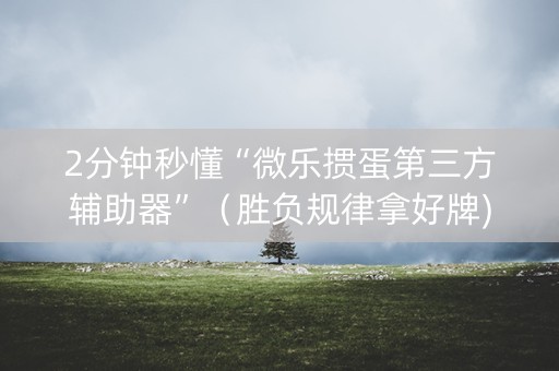 2分钟秒懂“微乐掼蛋第三方辅助器”（胜负规律拿好牌)