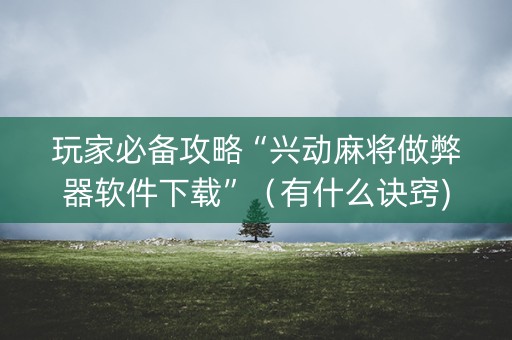 玩家必备攻略“兴动麻将做弊器软件下载”（有什么诀窍)