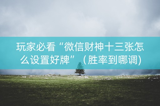 玩家必看“微信财神十三张怎么设置好牌”（胜率到哪调)