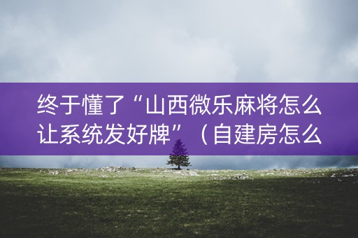 终于懂了“山西微乐麻将怎么让系统发好牌”（自建房怎么赢)