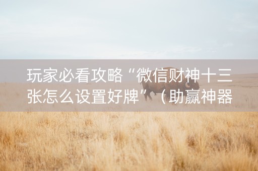 玩家必看攻略“微信财神十三张怎么设置好牌”（助赢神器购买)