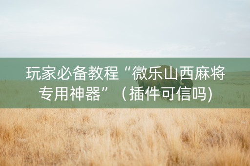 玩家必备教程“微乐山西麻将专用神器”（插件可信吗)