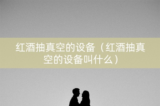 红酒抽真空的设备（红酒抽真空的设备叫什么）